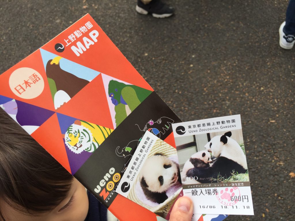 上野動物園のチケット