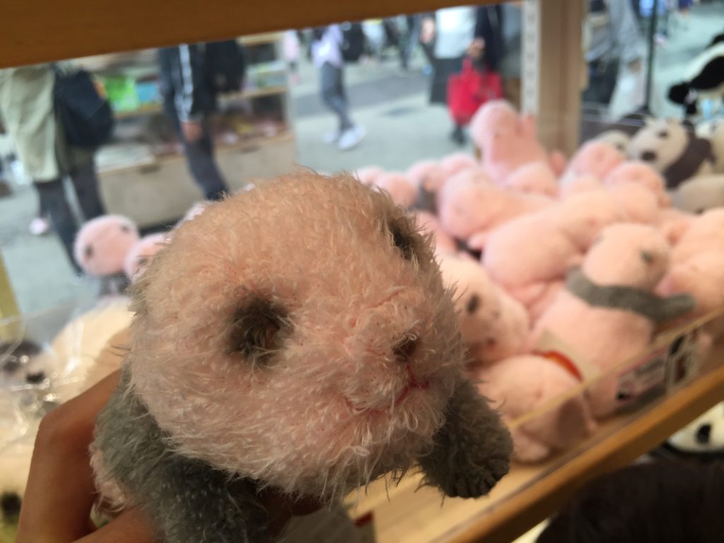 上野動物園の赤ちゃんパンダのお土産